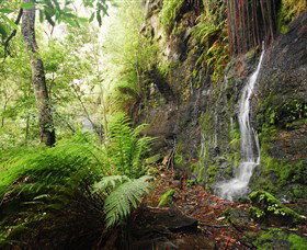 Fairy Bower Falls - Accommodation Perth 2