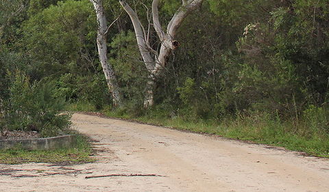 Riverview Walking Track - Accommodation Perth 0