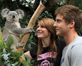 Featherdale Wildlife Park - Perth Resorts 0