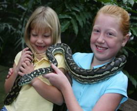 Featherdale Wildlife Park - Perth Resorts 2