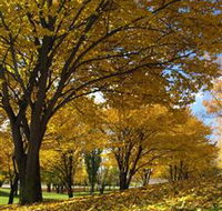Centennial Park at Cooma - Accommodation Perth