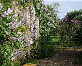Back O The Moon - Accommodation Perth 3