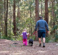 Olney State Forest - Watagan Mountains - Accommodation Perth