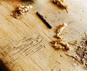 Sally Beresford Antiques/French Farmhouse Tables - Accommodation Perth 2