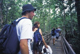 Mount Archer QLD Perth Resorts
