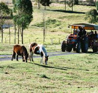 Calmsley Hill City Farm