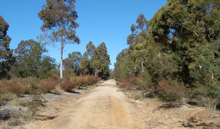 Elrington NSW Perth Resorts