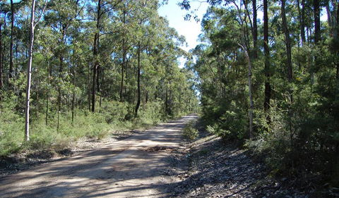 Werakata National Park - Accommodation Perth 2