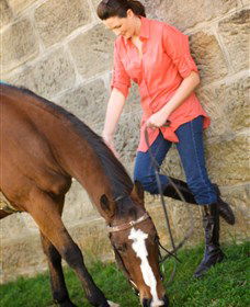 Sugarloaf Horse Centre - Perth Resorts 2