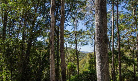 Basin Loop Track - Accommodation Perth 3
