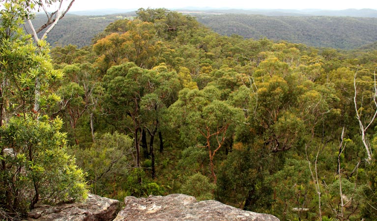 Mangrove Mountain NSW Accommodation Perth