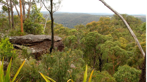 Mount Olive Lookout - Accommodation Perth 2