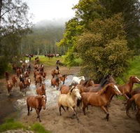Glenworth Valley Horse Riding - Accommodation Perth