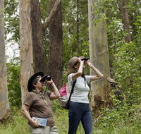 Chichester State Forest - Accommodation Perth