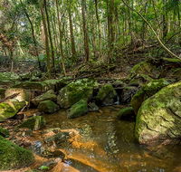 Palm Grove Nature Reserve - Accommodation Perth