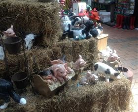 Country Elegance Gardens And Gifts - Accommodation Perth 3
