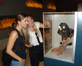 Pinnacles Desert Discovery Centre - Perth Resorts 2