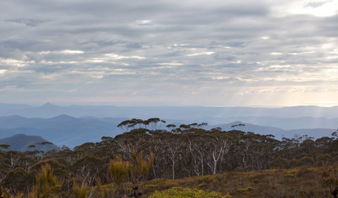 Mount Budawang Trail - Accommodation Perth 0