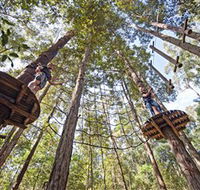TreeTop Adventure Park Central Coast - Accommodation Perth