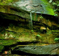 Strickland State Forest - Accommodation Perth
