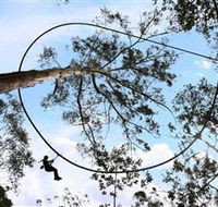 TreeTops Crazy Rider - Accommodation Perth