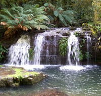 Barrington Tops National Park Walks - Accommodation Perth