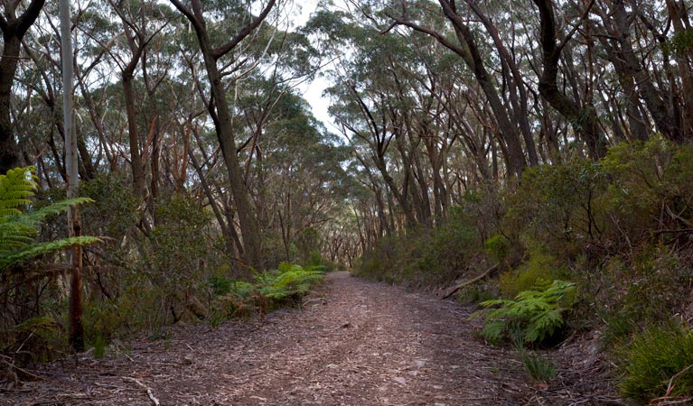 Yadboro NSW Accommodation Perth