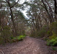 Budawang National Park - Accommodation Perth
