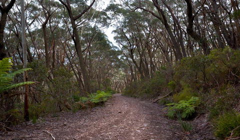 Budawang National Park - Accommodation Perth 0