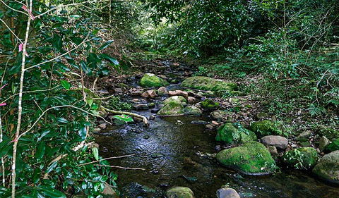 Macquarie Pass National Park - Accommodation Perth 0