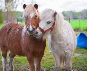 Amazement Farm And Fun Park / Cafe And Farmstay Accommodation - Accommodation Perth 5