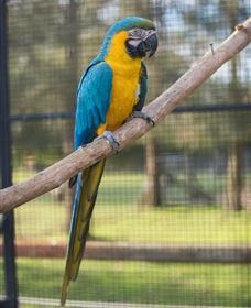 Amazement Farm And Fun Park / Cafe And Farmstay Accommodation - Accommodation Perth 8