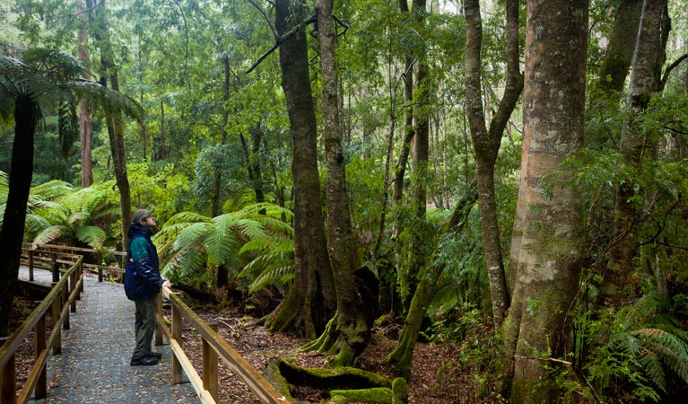 Monga NSW Accommodation Perth