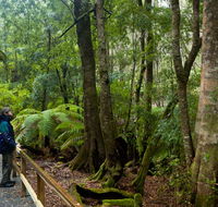Monga National Park - Accommodation Perth