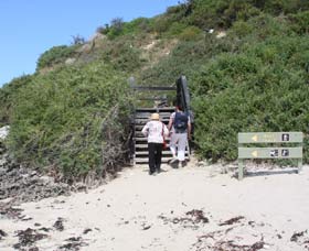 Penguin Island Boardwalks And Walk Trail - Perth Resorts 2