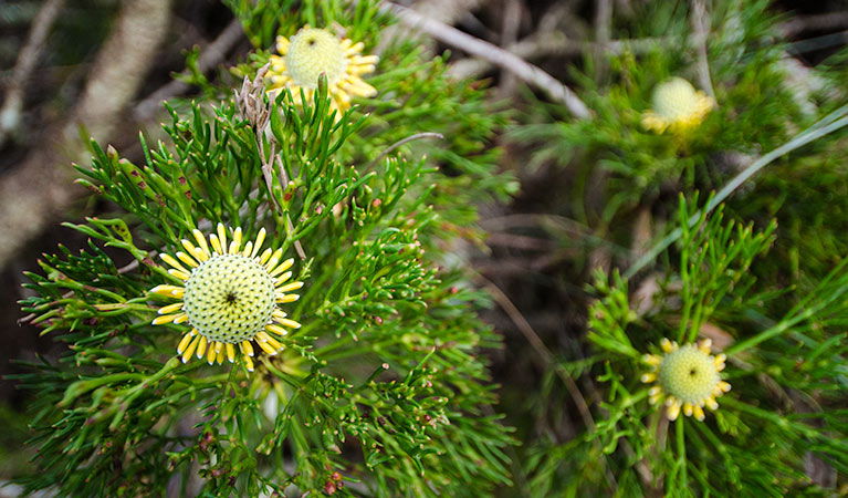 Mount Keira NSW Accommodation Perth