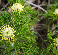 Illawarra lookout walking track - Accommodation Perth