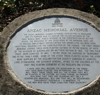 Anzac Memorial Avenue Redcliffe - Accommodation Perth