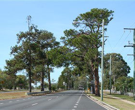 Anzac Memorial Avenue, Redcliffe - Accommodation Perth 2