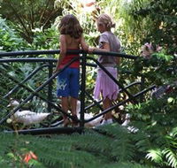 EG Waterhouse National Camellia Garden