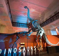 Australian Museum