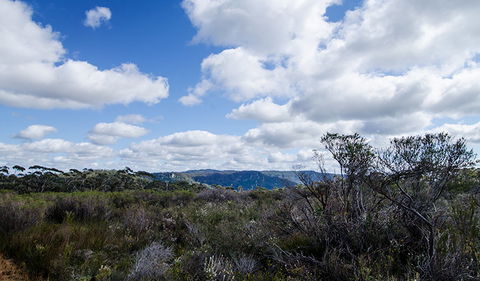 Barren Grounds Nature Reserve - Accommodation Perth 0