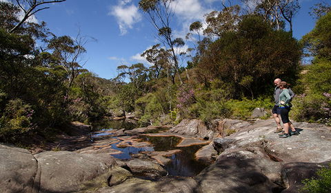 Barren Grounds Nature Reserve - Accommodation Perth 1