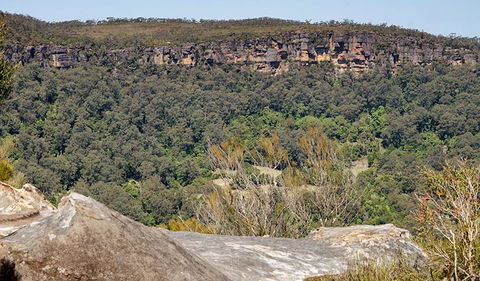 Barren Grounds Nature Reserve - Accommodation Perth 3