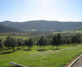Hastings Valley Olives - Perth Resorts 0