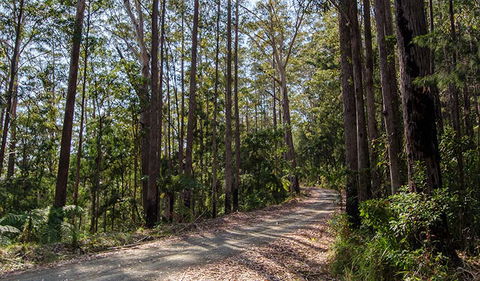 Hastings Forest Way Touring Route - Perth Resorts 1