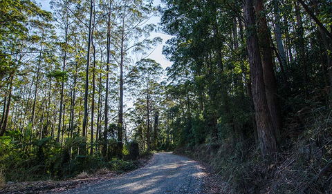 Hastings Forest Way Touring Route - Perth Resorts 3