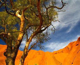 The Artery Aboriginal Art - Accommodation Perth 2
