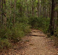 Pigeon House Mountain Didthul walking track - Accommodation Perth