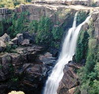 Minnamurra Rainforest Centre Budderoo National Park - Accommodation Perth
